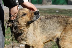 Прикачена снимка