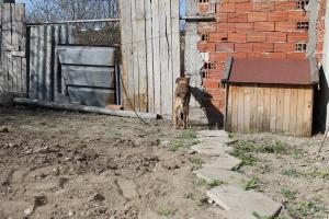Прикачена снимка