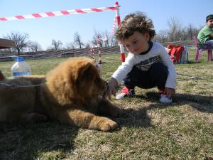 Прикачена снимка