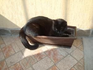 Прикачена снимка