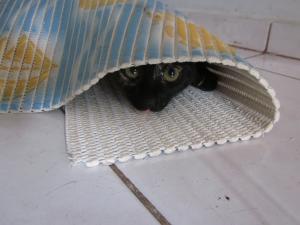 Прикачена снимка