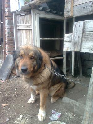 Прикачена снимка