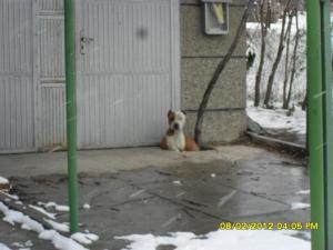 Прикачена снимка