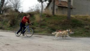 Прикачена снимка