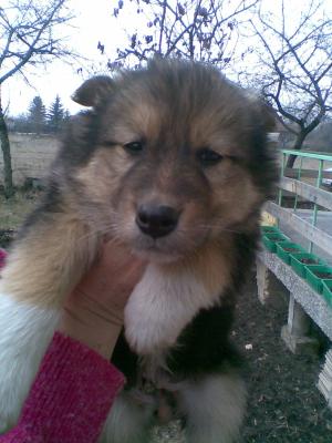 Прикачена снимка
