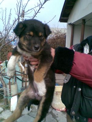 Прикачена снимка