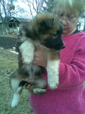 Прикачена снимка