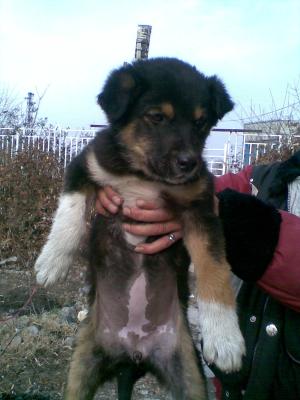 Прикачена снимка