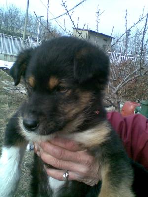 Прикачена снимка