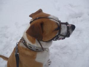Прикачена снимка