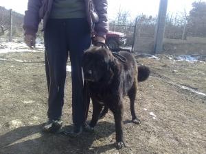 Прикачена снимка