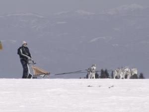 Прикачена снимка