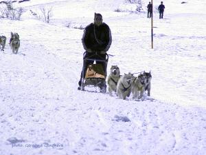Прикачена снимка