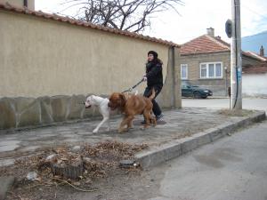 Прикачена снимка