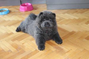 Прикачена снимка