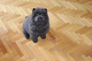 Прикачена снимка