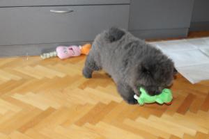 Прикачена снимка