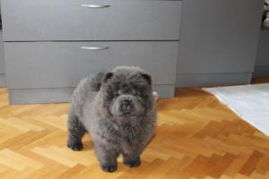Прикачена снимка