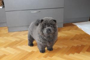 Прикачена снимка