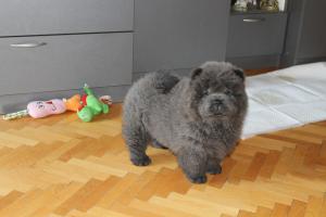 Прикачена снимка