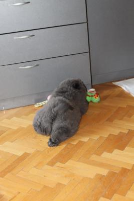 Прикачена снимка