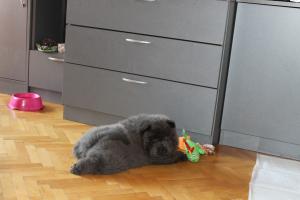 Прикачена снимка