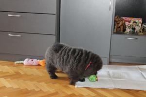 Прикачена снимка