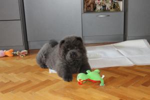 Прикачена снимка