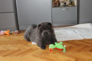 Прикачена снимка