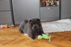 Прикачена снимка