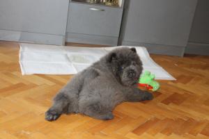 Прикачена снимка