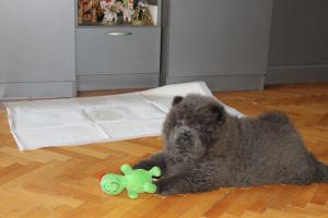Прикачена снимка