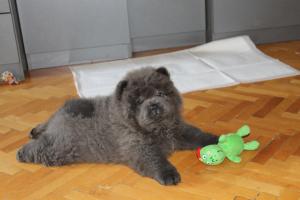 Прикачена снимка