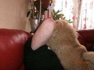Прикачена снимка