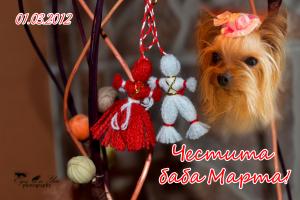 Прикачена снимка