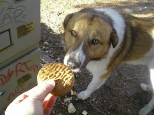 Прикачена снимка
