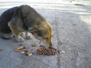 Прикачена снимка