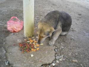Прикачена снимка