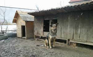 Прикачена снимка