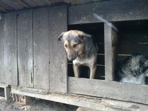 Прикачена снимка