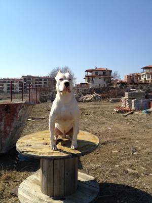 Прикачена снимка