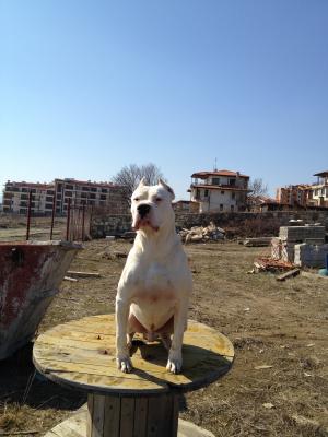 Прикачена снимка