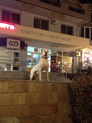 Прикачена снимка