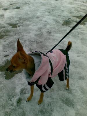 Прикачена снимка