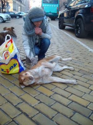 Прикачена снимка