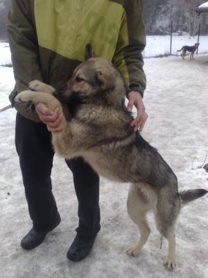 Прикачена снимка