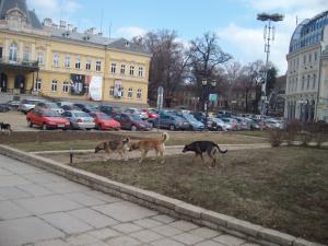 Прикачена снимка