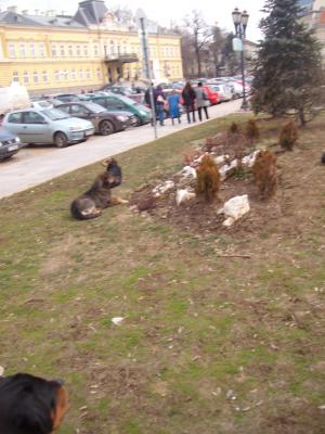 Прикачена снимка
