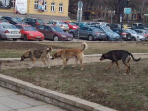 Прикачена снимка