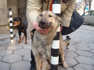 Прикачена снимка